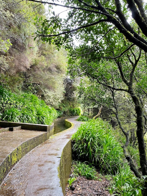 Beautiful Madeira landscape