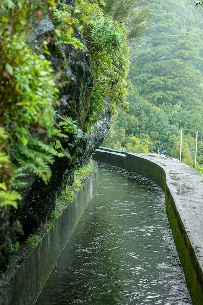 Beautiful Madeira landscape