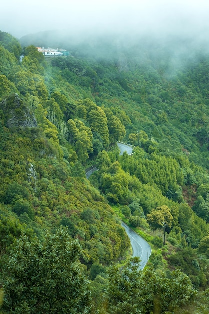 Beautiful Madeira landscape