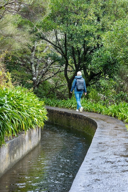 美しいマデイラの風景