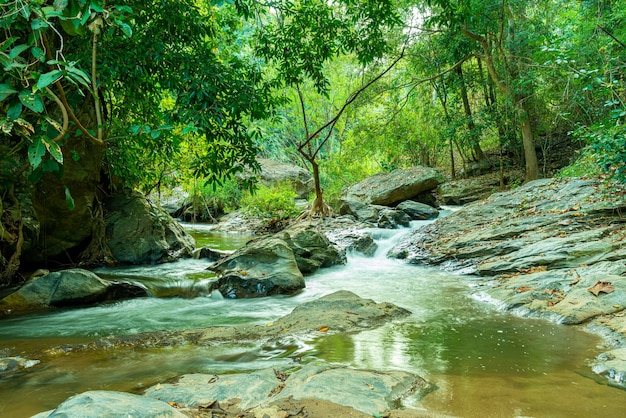 Bella cascata di mae sa a chiang mai, thailandia