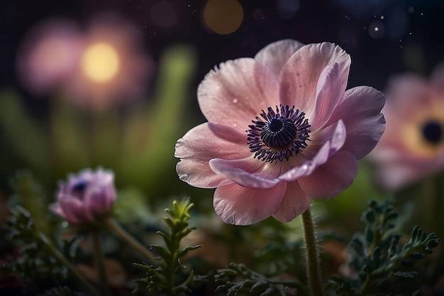 배경 에 마법 의 빛 이 있는 아름다운 마법 의 아네몬 꽃