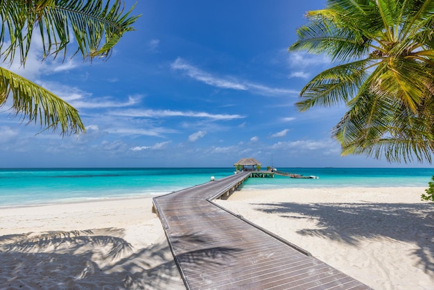 Beautiful Maldives island beach. Palm trees, sea sand sky, water villa long wooden pier pathway