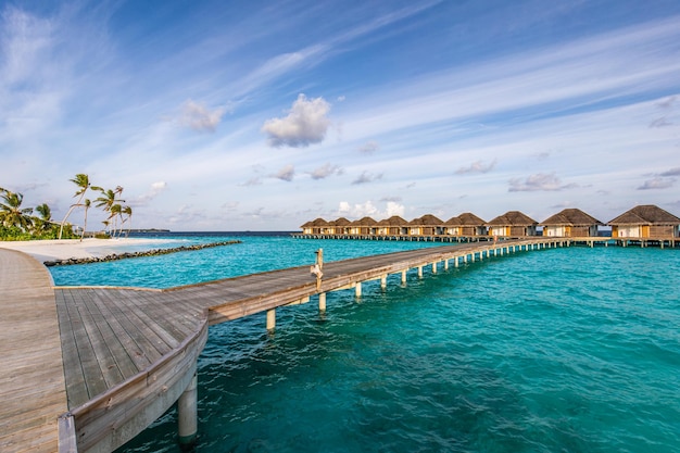 아름다운 몰디브 섬 풍경 나무 부두 수상 빌라 방갈로 럭셔리 여름 여행