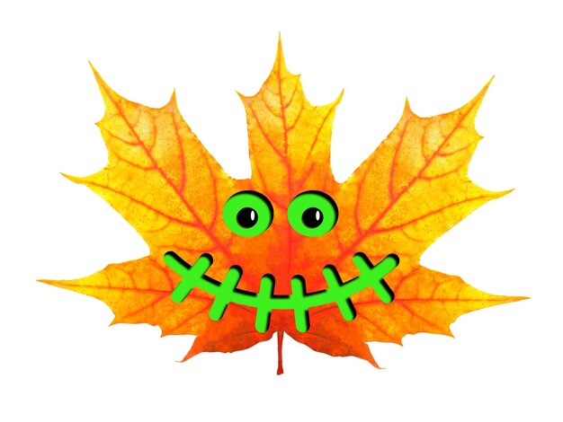 Beautiful maple leaf with Halloween face