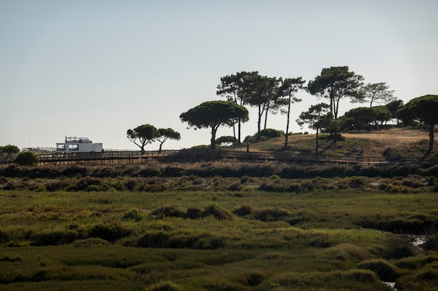 Beautiful marshland of Quinta do Lago spot