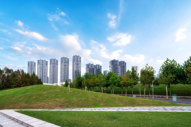 Beautiful meadow in the park