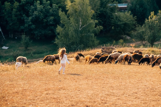 Beautiful meadow with a little girl and animals sheep