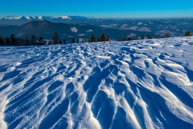 Прекрасный завораживающий вид на лыжные снежные волны с видом на хвойный лес и горные хребты в солнечный морозный зимний день. Концепция горнолыжного отдыха. Место для рекламы