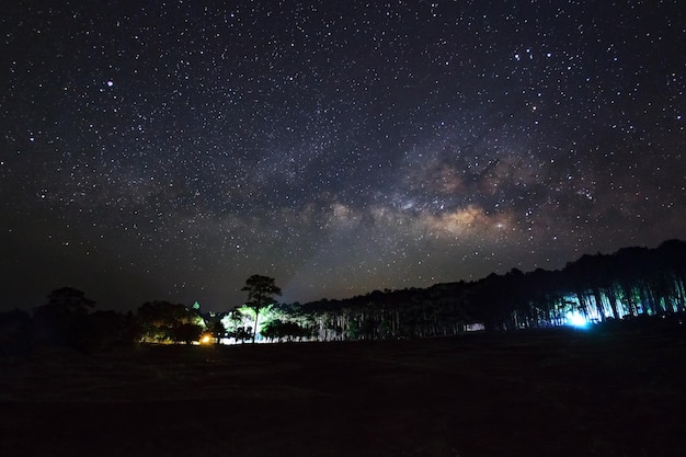 Beautiful milky way galaxy on a night sky and silhouette of tree