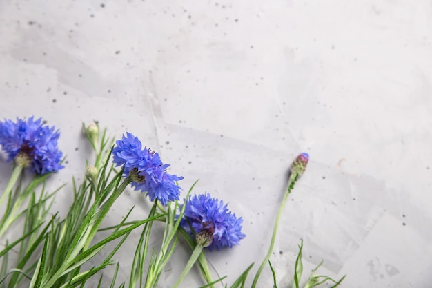 Beautiful minimalistic gray background with blue flowers