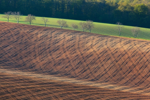 Beautiful minimalistic landscape with striped wavy fields