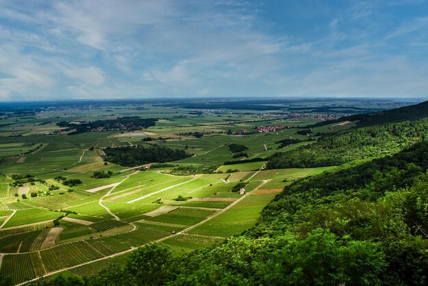 Beautiful and miraculous colors of green spring landscape of tuscany italy