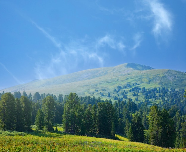 Beautiful and miraculous colors of green spring landscape of tuscany italy