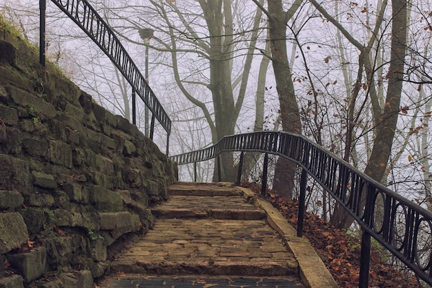 Beautiful misty autumn park