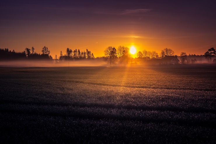 Photo a beautiful misty morning over the spring fields sunrise with fog on grain fields