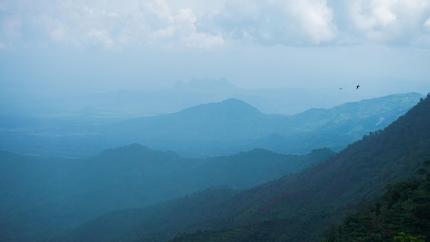 Beautiful misty nature and forest from a distance