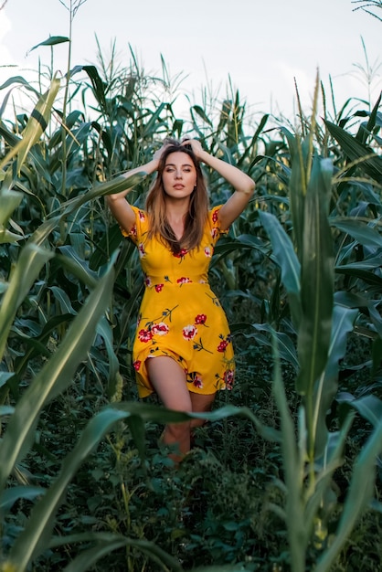 A beautiful model girl in yellow dress walks and posing in the thickets of a corn field