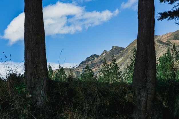 beautiful morning in the Ecuadorian Andes