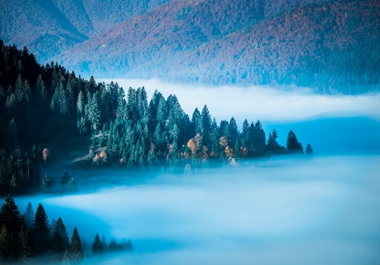 秋の霧の山々と美しい朝の風景。