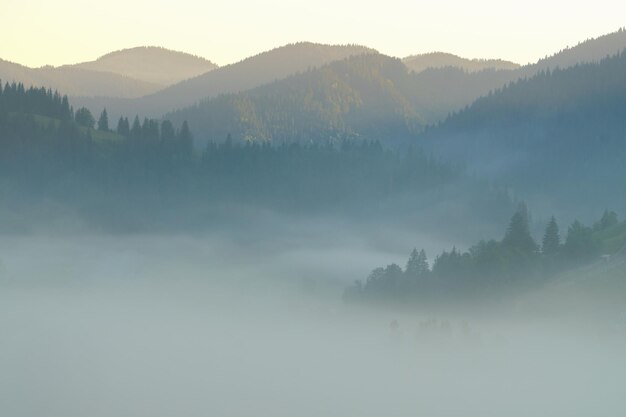 Красивая утренняя панорама леса, покрытого низкими облаками. Осенний туман на горных холмах. Туманный осенний лес. Цветной восход солнца на лесном склоне горы.