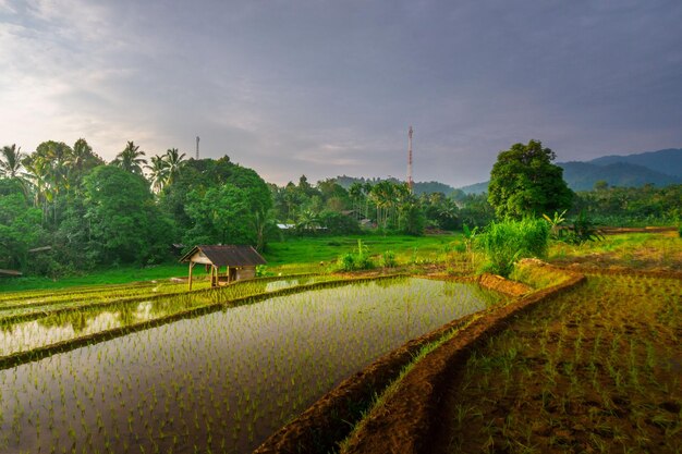 Foto bellissima vista mattutina dall'indonesia di montagne e foreste tropicali