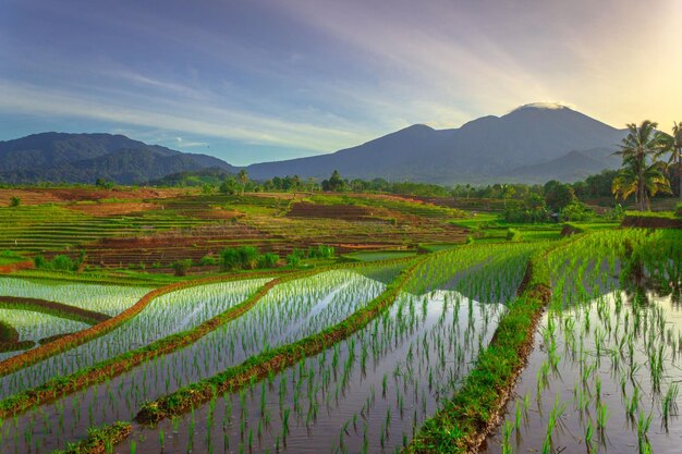 Foto bellissima vista mattutina dall'indonesia di montagne e foreste tropicali