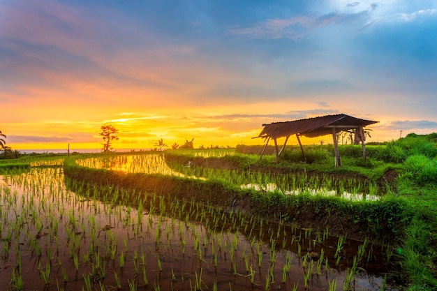 Foto bellissima vista mattutina dall'indonesia di montagne e foreste tropicali