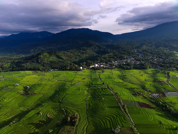 山とインドネシアの田んぼのパノラマビューからの美しい朝の景色