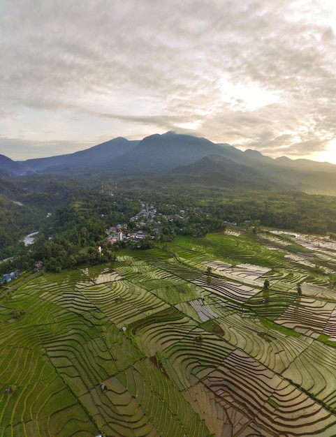 Beautiful morning view of Indonesia Aerial photo of beautiful small rice fields and villages