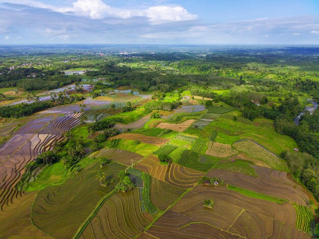 インドネシアの美しい朝景 緑の田んぼが広がる大パノラマを空撮