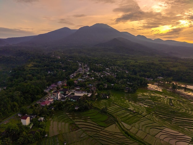 インドネシアの美しい朝の景色 日の出の田んぼの航空写真