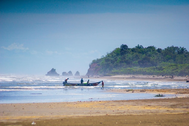 美しい朝の景色 インドネシア パノラマ風景 水田の美しさの色と空の自然光