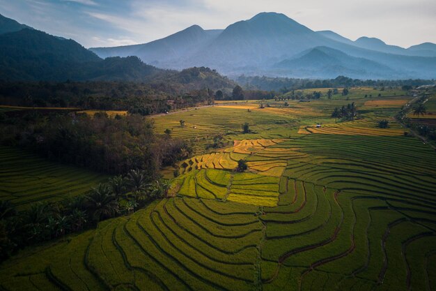 Beautiful morning view indonesia Panorama Landscape paddy fields with beauty color and sky natural