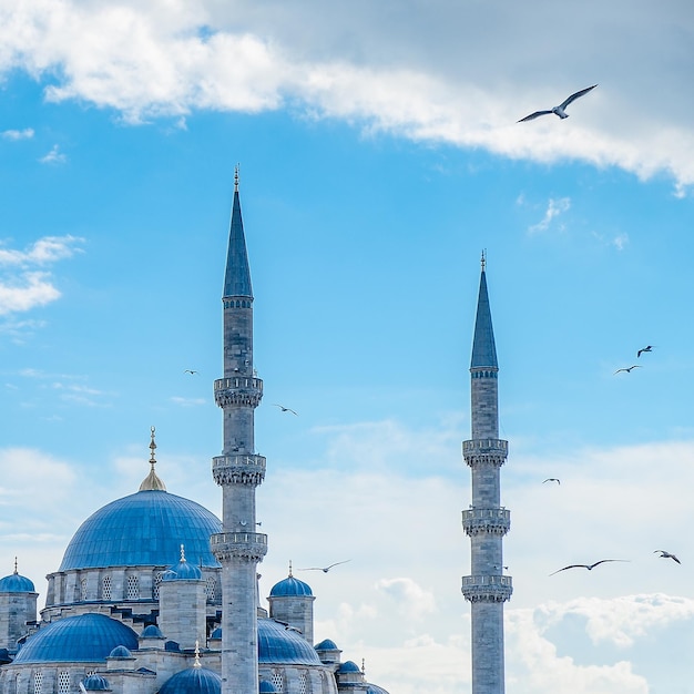 갈매기에 둘러싸인 이스탄불의 아름다운 모스크
