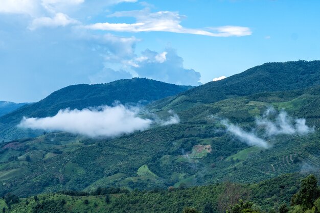 아름다운 산과 농업 분야 풍경