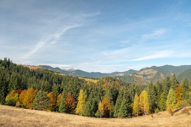 カラフルな森と美しい山の秋の風景