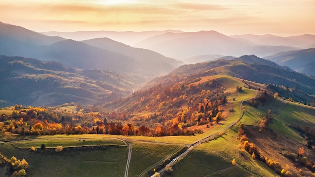 牧草地と色とりどりの森のある美しい山の秋の風景。丘の中腹に赤、黄、オレンジの木。国立自然公園Synevyr、カルパティア山脈、ウクライナ、ヨーロッパ。