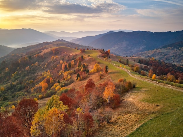 Красивый горный осенний пейзаж с лугом и красочным лесом. Красные, желтые, апельсиновые деревья на склонах холмов. Национальный природный парк Синевир, Карпаты, Украина, Европа.