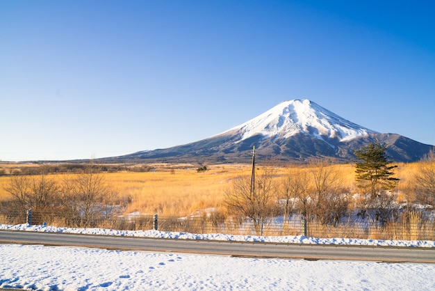 beautiful mountain in autumn