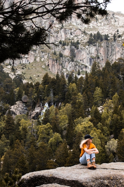 Beautiful mountain forest landscape