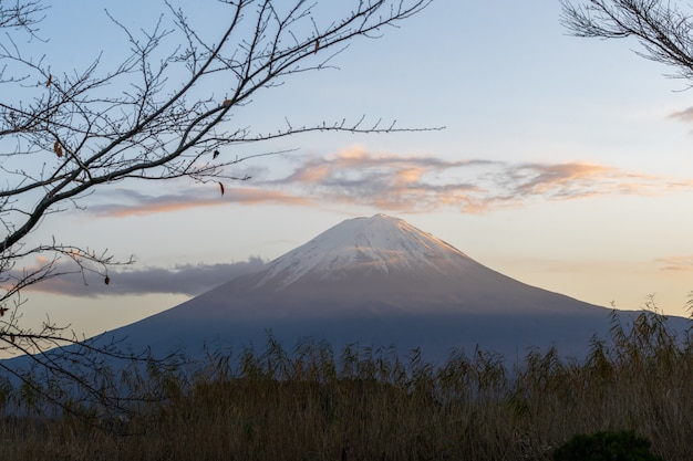 秋の季節に日本の河口湖で美しい山岳富士山