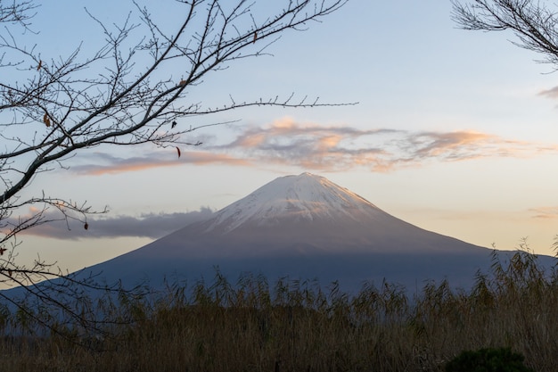 Beautiful Mountain Fuji at Lake kawaguchiko in japan on autumn season