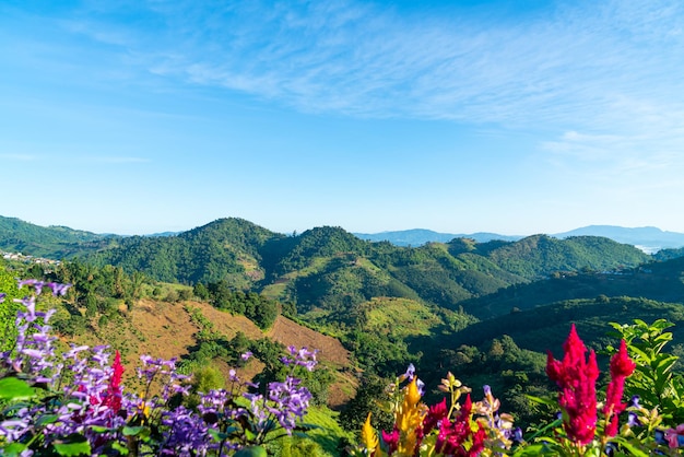 Beautiful mountain hill layer with blue sky