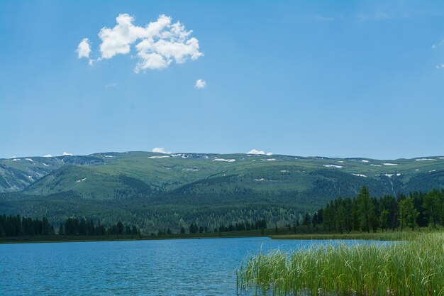 Foto un bellissimo lago di montagna con canneti circondato da catene montuose e foreste impenetrabili.