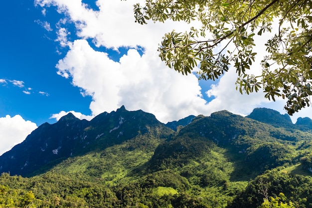 Bello paesaggio della montagna in chiang dao, chiang mai, tailandia