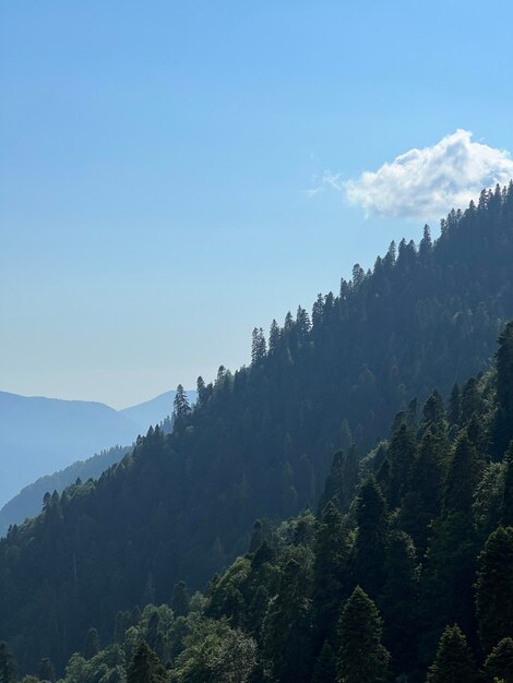 Beautiful mountain landscape in green and blue tones vertical photo