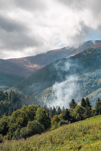 Beautiful mountain landscape panorama view with coniferous forest on a mountain range with forested hillsides meadows covered with grass clouds in the blue sky on a sunny day Ecotourism