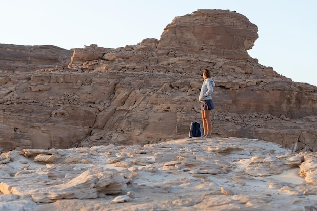 Красивый горный пейзаж в Синайской пустыне Египетский каньон на Южном Синае