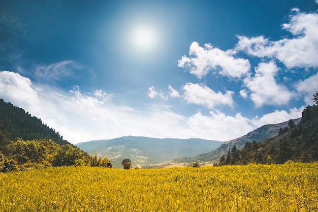 Photo beautiful mountain landscape in the summer day. yellow meadow, bue sky with clouds and sun. nature background. agriculture rice field in nepal, trekking in himalaya. exploring beauty world